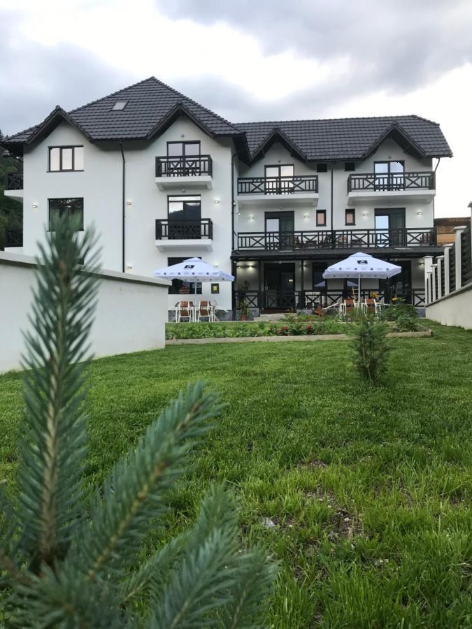 Pensiunea Edelweiss Voineasa Exterior foto